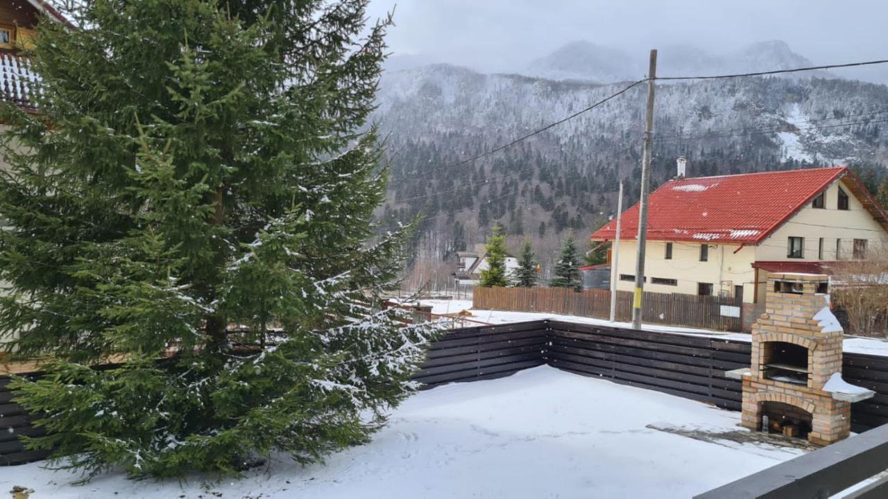 Nordic Chalet Сіная Екстер'єр фото